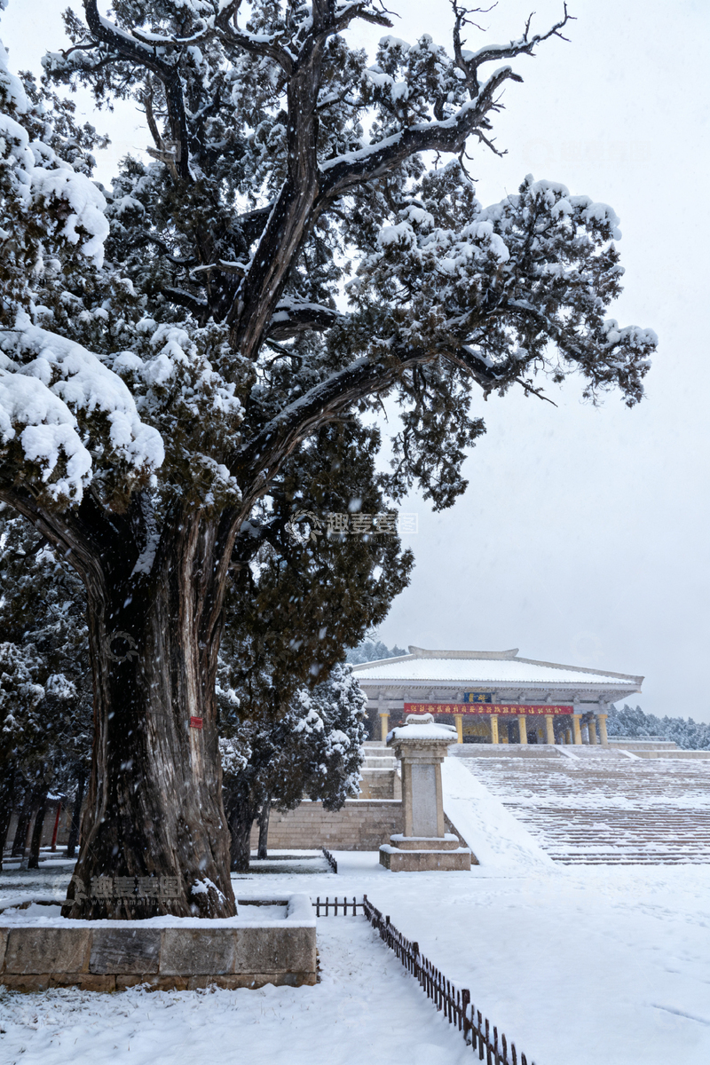 高清大图下载【趣麦麦图】雪景古树建筑风景摄影