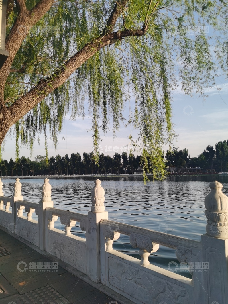 高清大图下载【趣麦麦图】什刹海的夏日风景