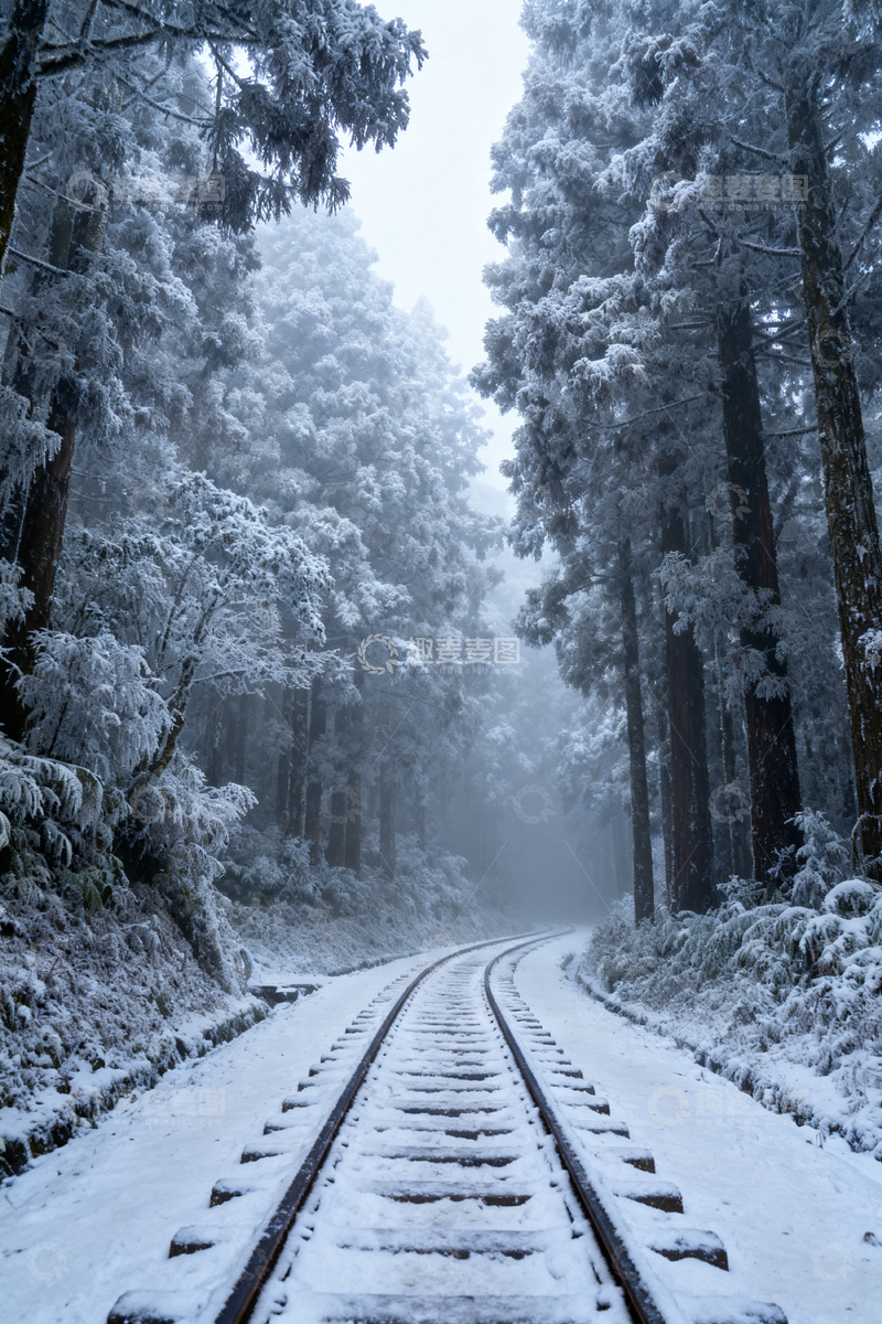 高清大图下载【趣麦麦图】雪景铁路森林
