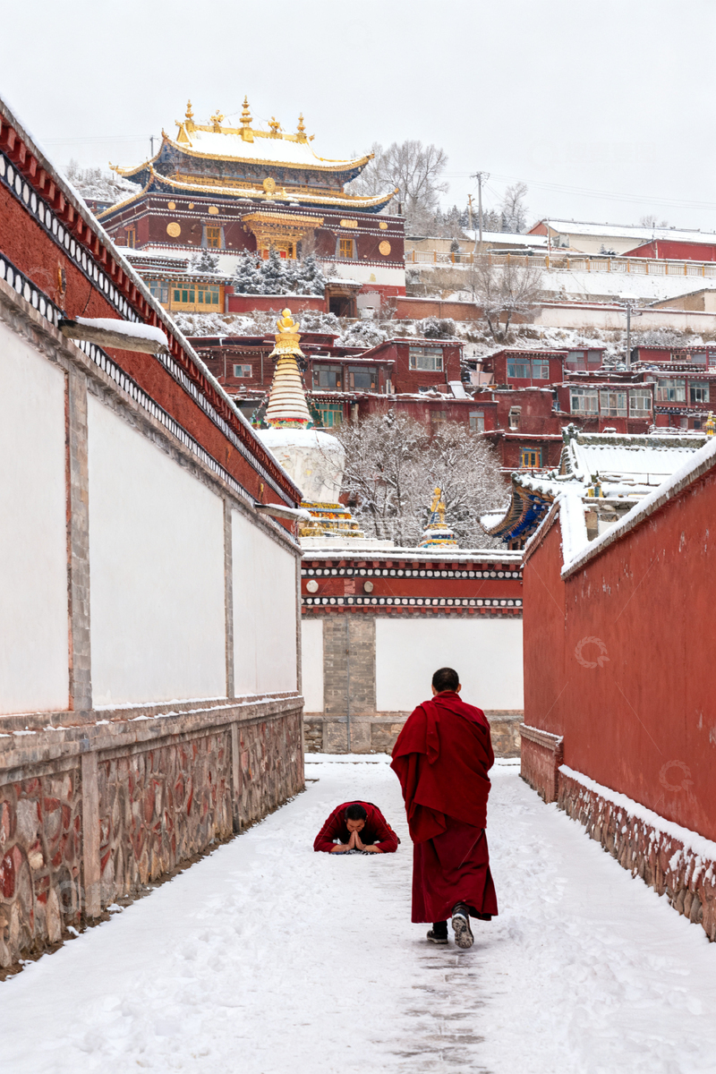 高清大图下载【趣麦麦图】雪景藏传佛教寺院僧人行走
