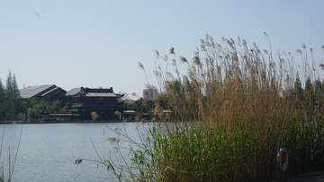 古典园林湖畔风景