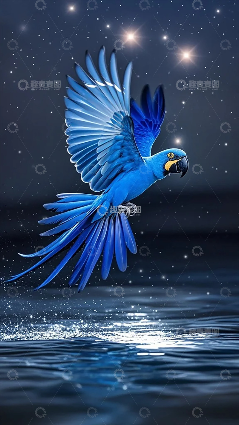 高清大图下载【趣麦麦图】-星空蓝鹦鹉飞翔艺术画作