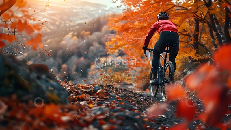 高清大图下载【趣麦麦图】秋林骑行风光摄影