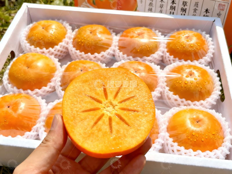 源文件下载【趣麦麦图】巧克力脆柿2