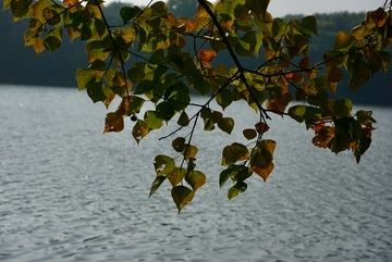秋叶湖畔风光摄影
