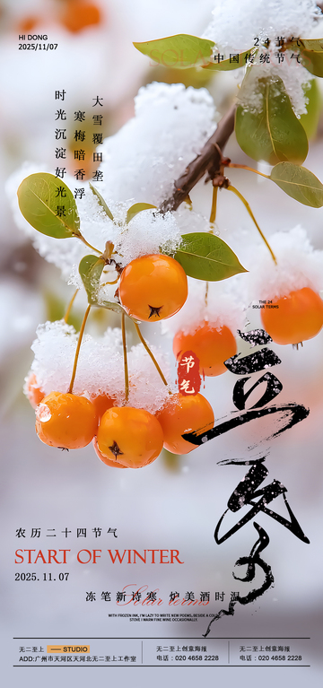 雪柿迎春二十四节气海报
