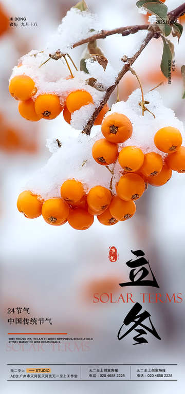 雪柿迎春立冬节气海报