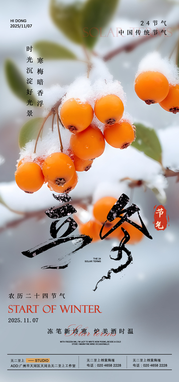 雪景冬韵柿子宣传海报设计