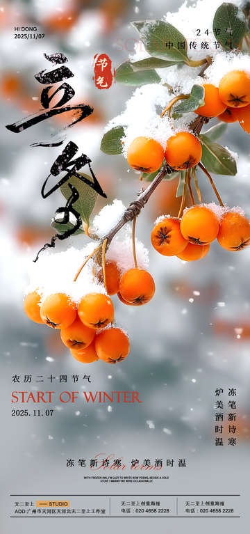 雪柿迎冬节气海报设计