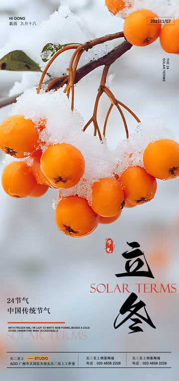 雪柿立冬日景摄影