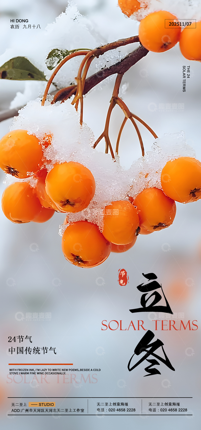 源文件下载【趣麦麦图】雪柿立冬日景摄影