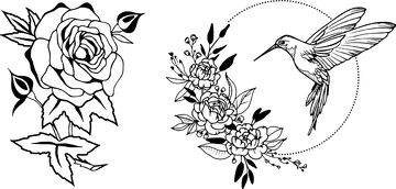黑白线条玫瑰与蜂鸟纹身设计素材