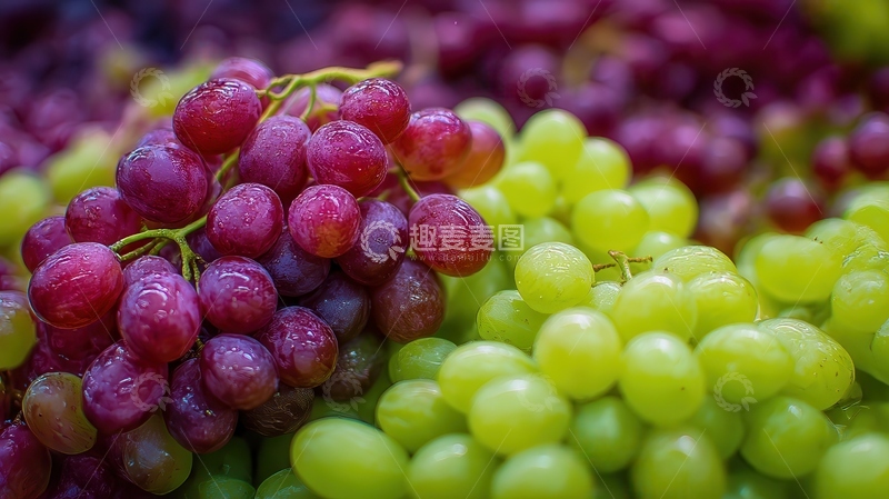 高清大图下载【趣麦麦图】葡萄  珠玉  丰硕 