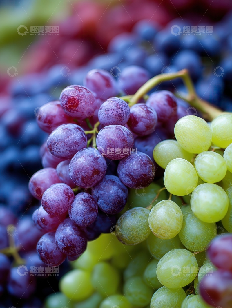 高清大图下载【趣麦麦图】葡萄  珠玉  秋实 