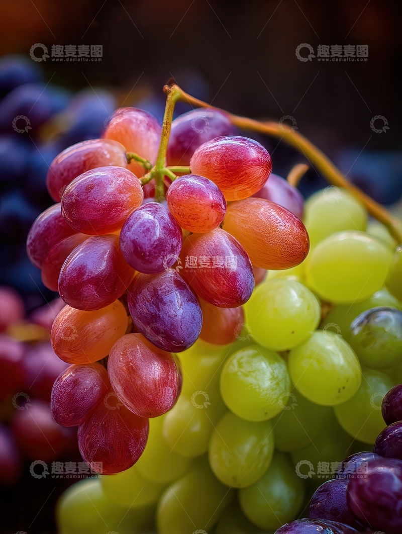 高清大图下载【趣麦麦图】葡萄  珠玉  晶莹  