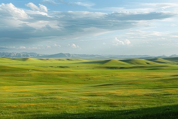 大草原自然美景