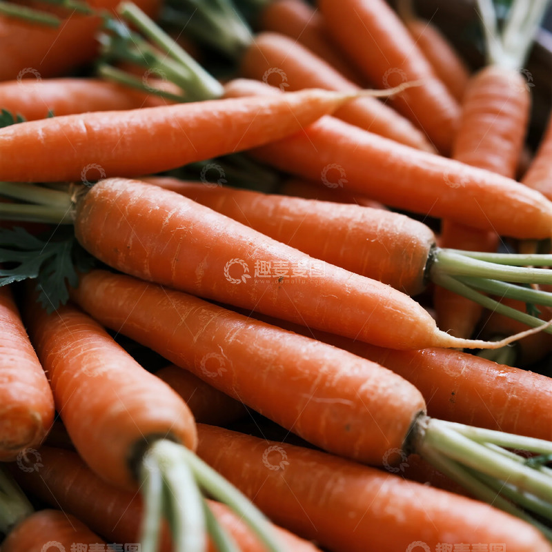 高清大图下载【趣麦麦图】新鲜胡萝卜特写摄影