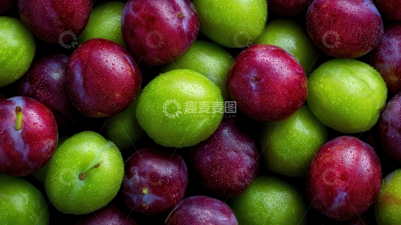 高清大图下载【趣麦麦图】李子  紫玉  生津 