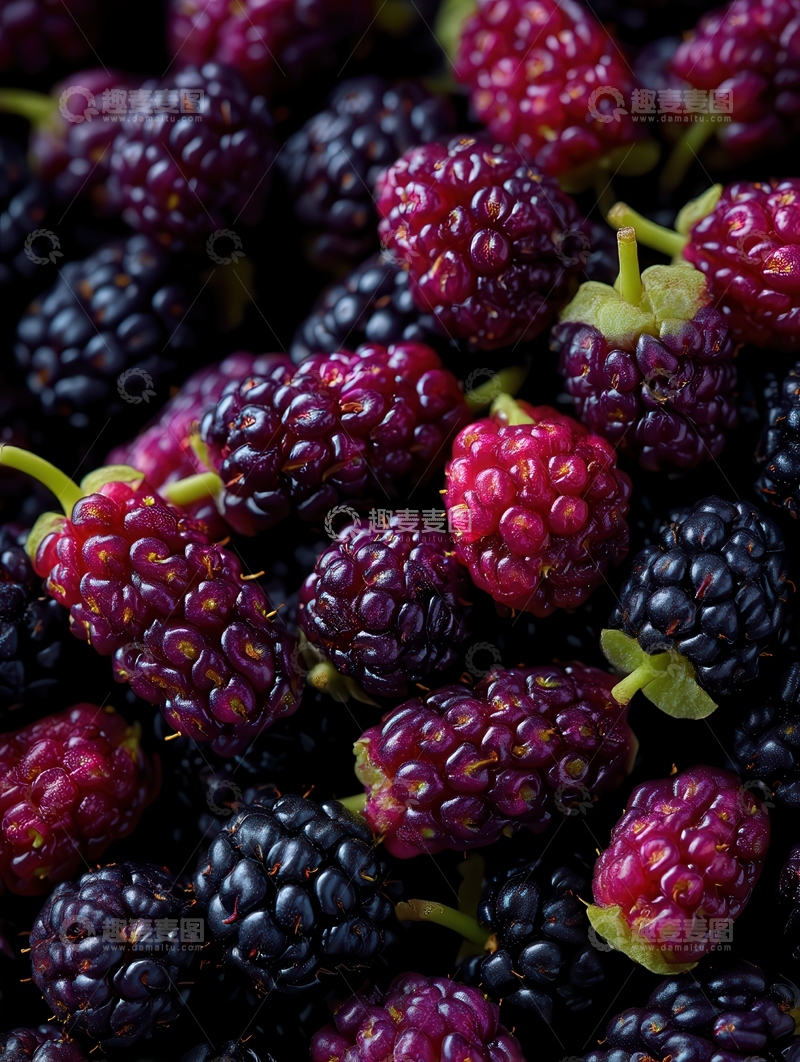 高清大图下载【趣麦麦图】桑葚  童年  酸甜 