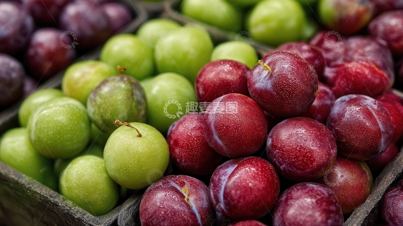 高清大图下载【趣麦麦图】李子  紫玉  硬脆 