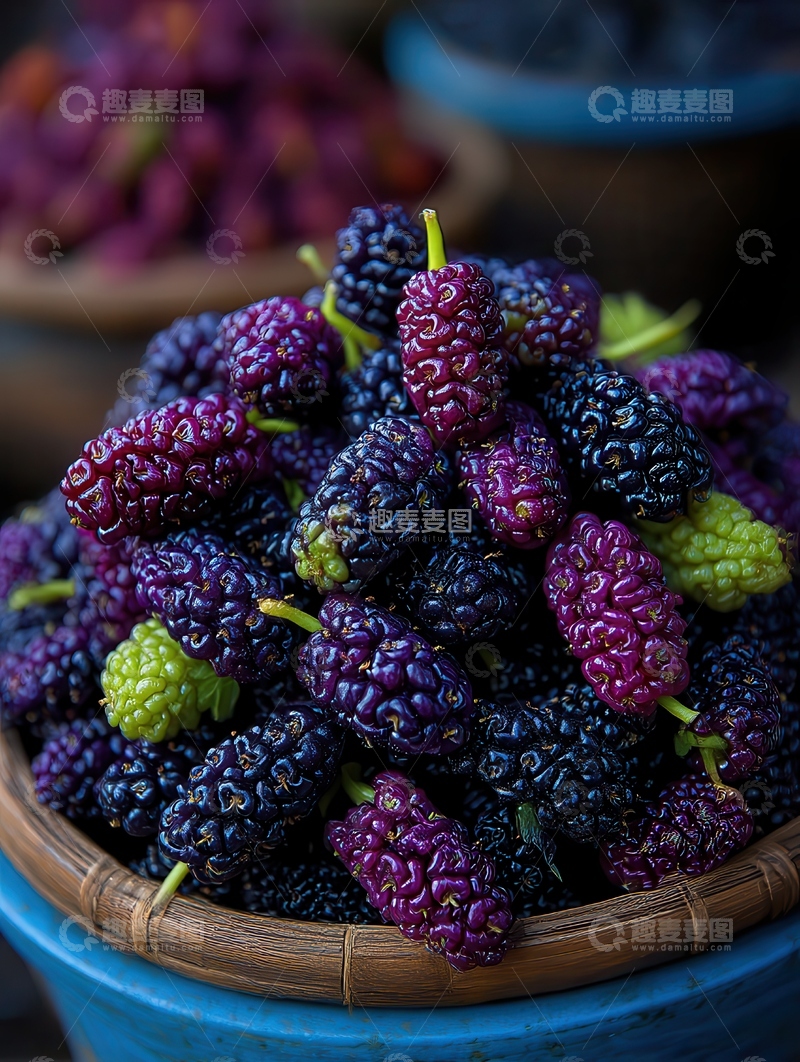 高清大图下载【趣麦麦图】桑葚  童年  浆果  