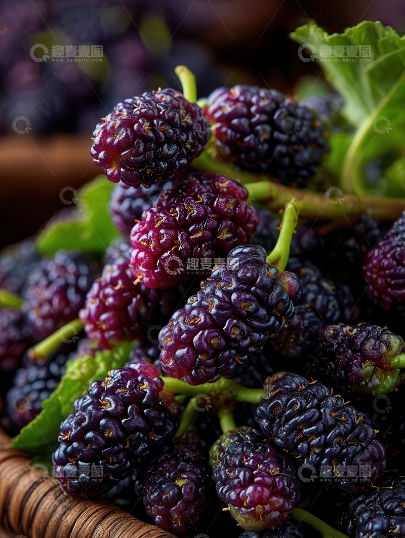 高清大图下载【趣麦麦图】桑葚  童年  乌亮  