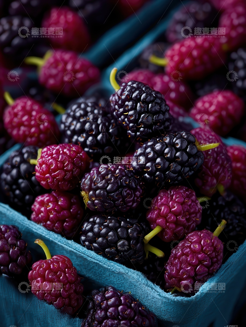 高清大图下载【趣麦麦图】桑葚  童年  蜜甜 