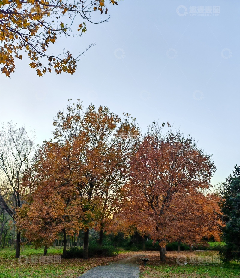 高清大图下载【趣麦麦图】秋日公园小径景色