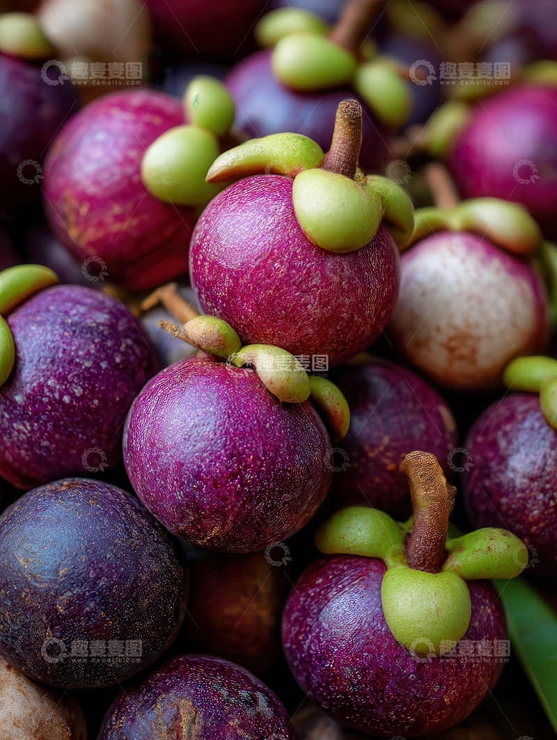 高清大图下载【趣麦麦图】山竹  紫袍  绵密  