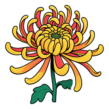 彩色菊花插画设计元素