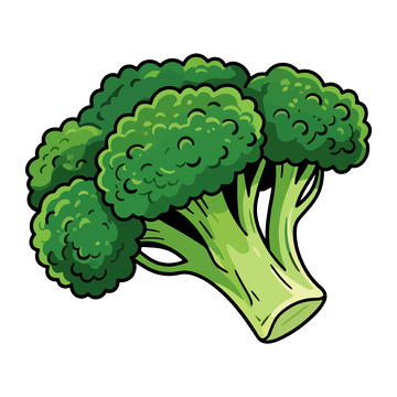 卡通风格西兰花插图