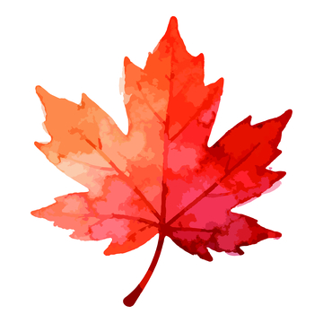 水彩枫叶秋季装饰元素