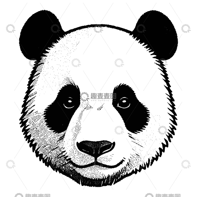 黑白熊猫头像插画