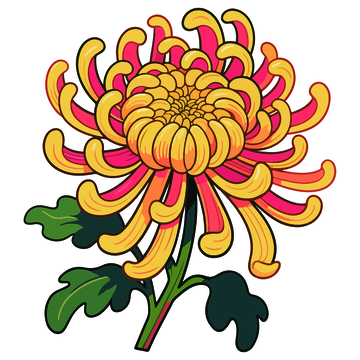 彩色菊花矢量插画