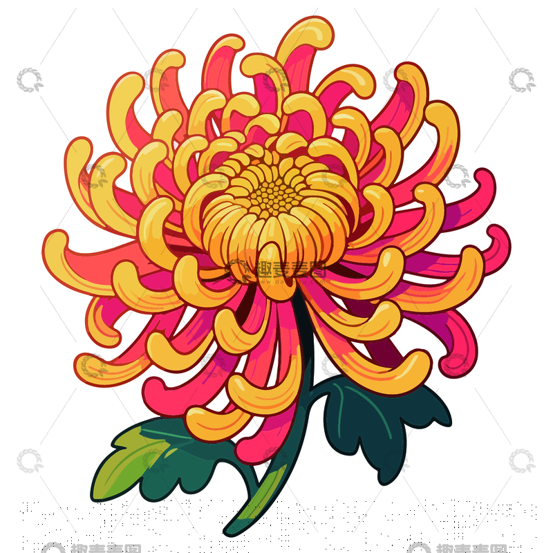 菊花图样艺术插画