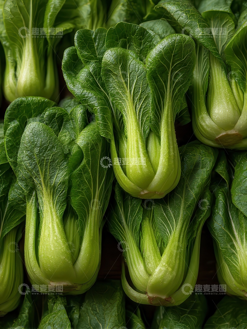 高清大图下载【趣麦麦图】上海青  青翠  清炒