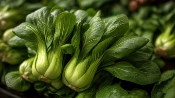 上海青  青翠  清口