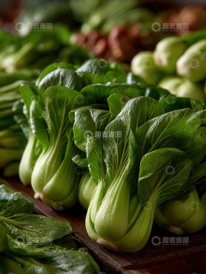 高清大图下载【趣麦麦图】-上海青  青翠  家常 