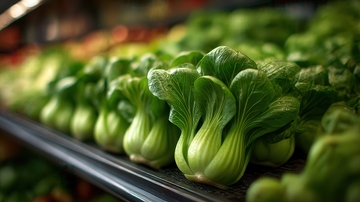 上海青  青翠  爽滑