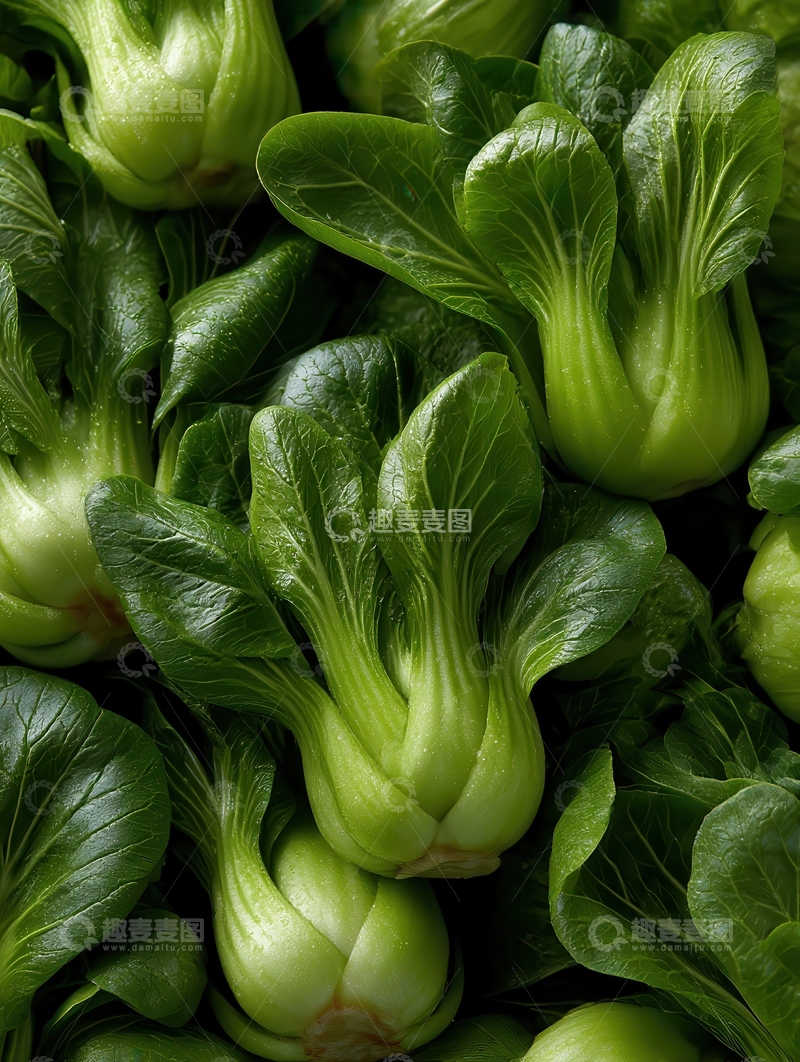 高清大图下载【趣麦麦图】上海青  青翠  甜润 