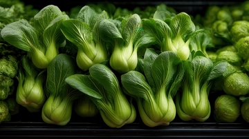 上海青  青翠  爽口