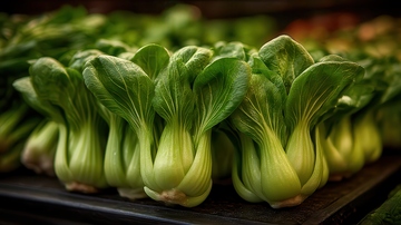 上海青  青翠  多汁 