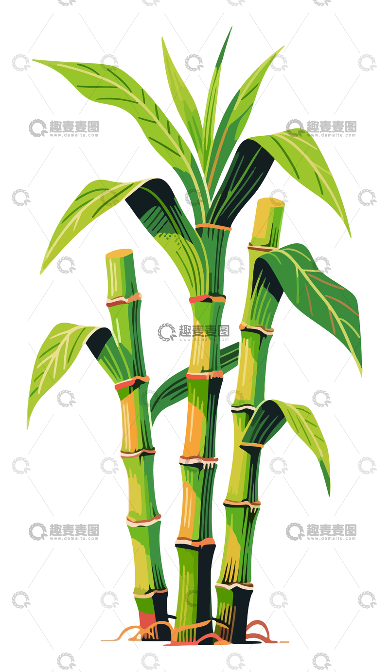 源文件下载【趣麦麦图】卡通风竹子插画设计素材