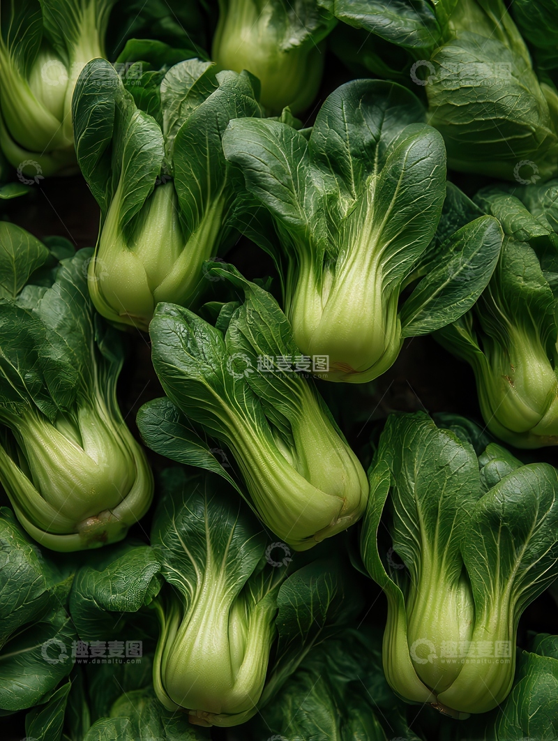 高清大图下载【趣麦麦图】上海青  青翠  快炒 