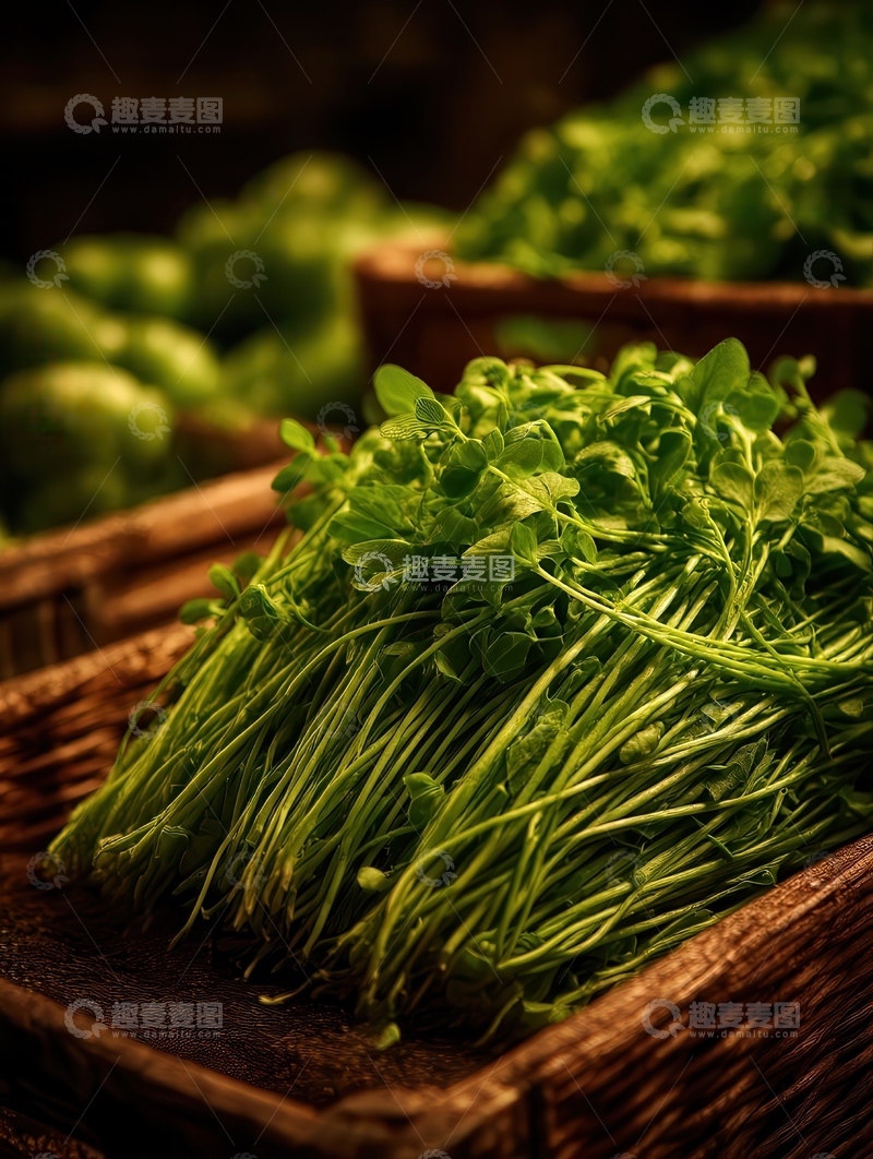 高清大图下载【趣麦麦图】豌豆苗  嫩尖  春味 