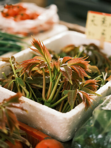 香椿  春味  爽口