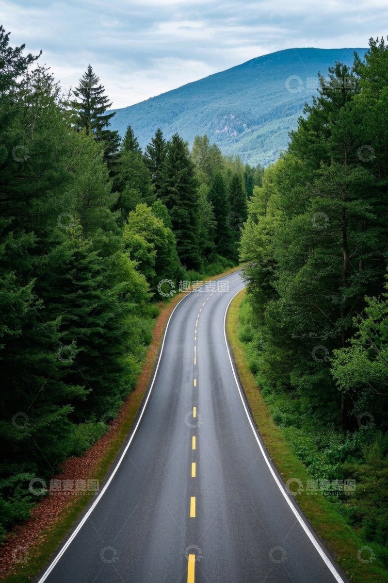 高清大图下载【趣麦麦图】森林间蜿蜒的公路景观