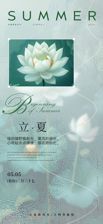 清新荷花立夏海报设计