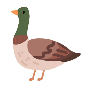 卡通风格大雁插画