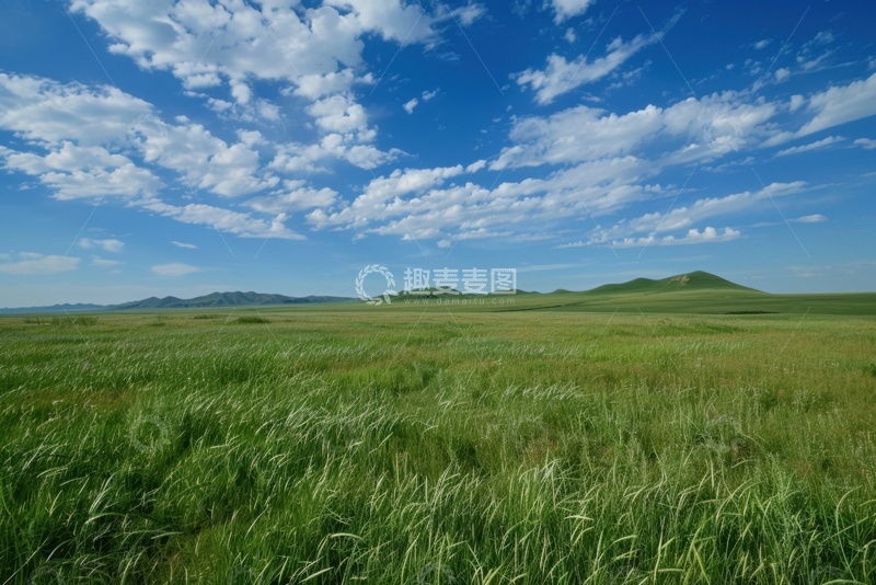 高清大图下载【趣麦麦图】大草原蓝天白云背景